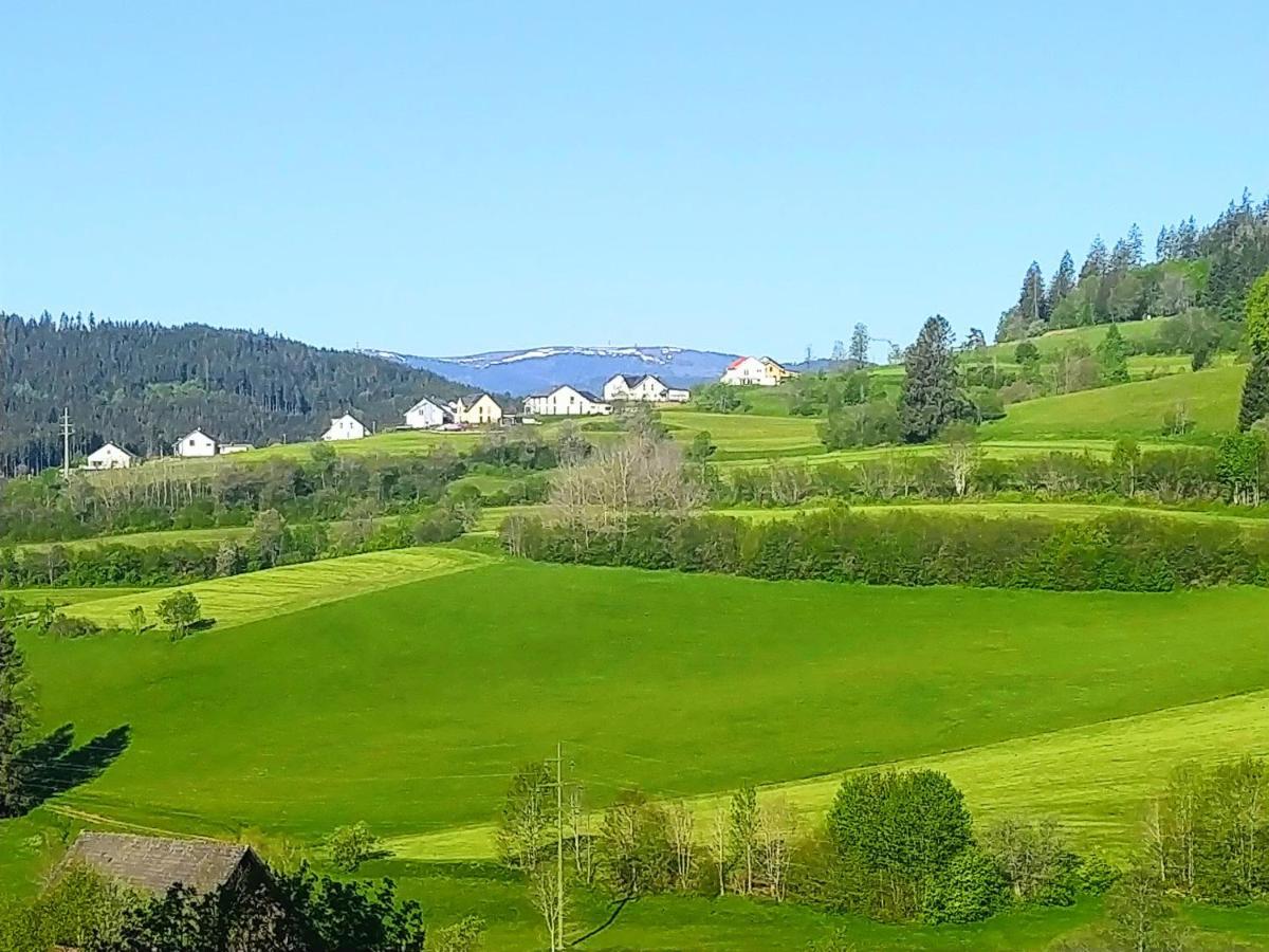 Romantic Style Apartment Titisee-Neustadt Exteriör bild